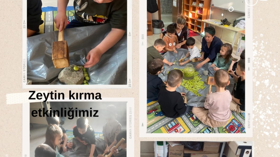 Anasınıfı A şubesi etkinlik ,aile katılımı ve zeytin kurma çalışmasını tamamladılar